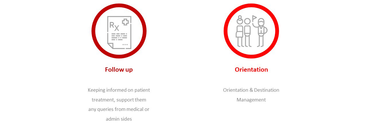 Swiss Medical Platform: Services in details